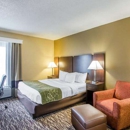 Comfort Suites Lebanon - Motels
