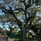 Salvadore Park Tennis Center