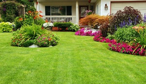 E Cut Lawn Care inc - Palm Bay, FL. Beautiful landscaping. Just needs water and fertilizer and you see what you can achieve ��������