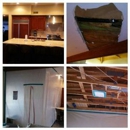 ALM Services - Mold Remediation