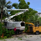 Real Tree Team Naples