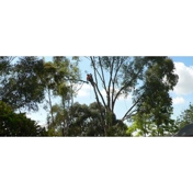 Gallery Image Number 7