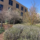 Center Operations - Auto Insurance