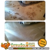 Citrusolution Carpet Cleaning Of Orlando gallery