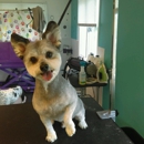Hot Dog's Pet Salon, LLC - Pet Grooming