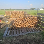 Dave's Morning Wood