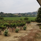 Kieu Hoang Winery