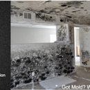 MOLD FIX - Mold Remediation