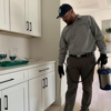 Termio Pest Control gallery