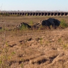 US Bonne Carre Spillway