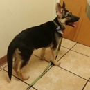 Your Family Veterinarian - Pet Grooming