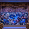 Underwater Oasis-Aquarium Rescue gallery