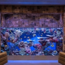 Underwater Oasis-Aquarium Rescue - Aquariums & Aquarium Supplies