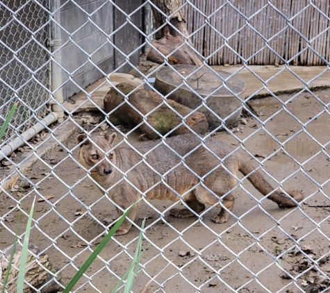 Micke Grove Zoo - Lodi, CA