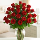 Roses America LLC - Flowers, Plants & Trees-Silk, Dried, Etc.-Retail
