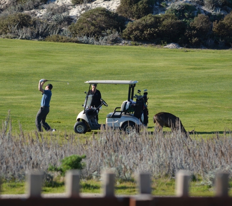 Pacific Grove Golf Links - Pacific Grove, CA