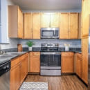 Soho Parkway Apartments - Apartments