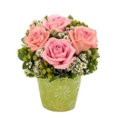 Flowers Songs & Gifts-Vista - Flowers, Plants & Trees-Silk, Dried, Etc.-Retail