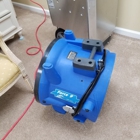 Steam Plus Cleaning and Restoration