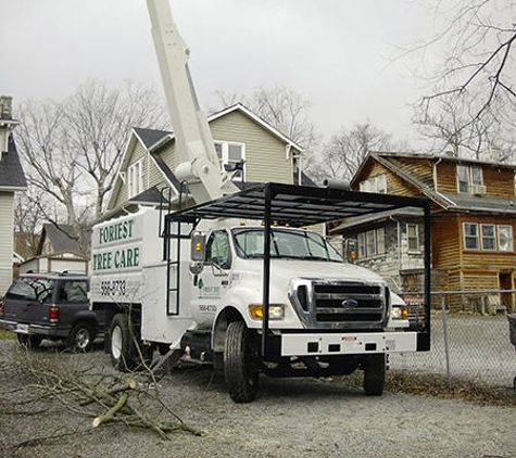 Foriest Tree Care