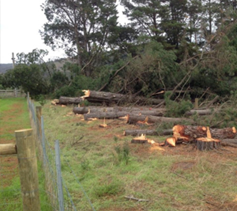 Dan's Tree Services - Wangaratta, VIC