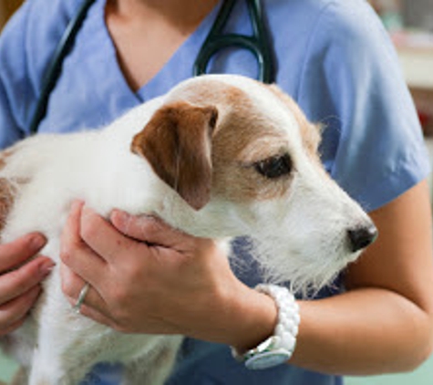 Walker Veterinary Hospital - Stockton, CA. Pet Clinic Stockton, CA 95210