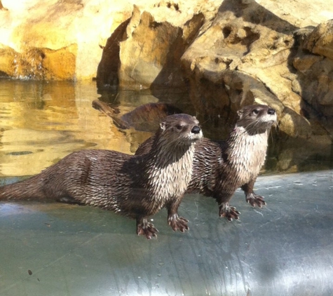 Mesker Park Zoo & Botanical Garden - Evansville, IN