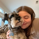 Top Dog Pet Sitters - Pet Boarding & Kennels