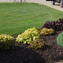 Marcelo's Landscaping - Gardeners