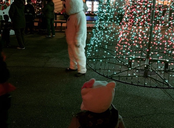 The Lights of Christmas - Stanwood, WA