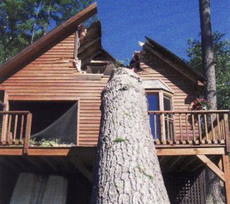 Adirondack Tree Surgeons Inc