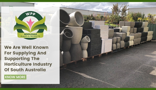Wholesale Plants & Products Pty Ltd - Dry Creek, SA. We Are Well Known For Supplying And Supporting The Horticulture Industry Of South Australia