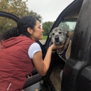 Field & Home Mobile Veterinary Care - Veterinarians