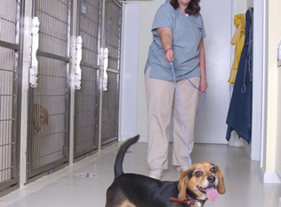 Abbott Animal Hospital - Lilburn, GA