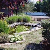 Tracy's Lawn & Landscaping Service gallery