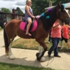 Chamberlin Pony Rides gallery