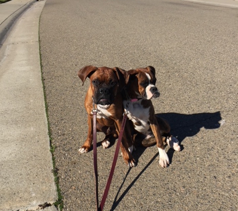 Wag Time Dog Training - Antelope, CA