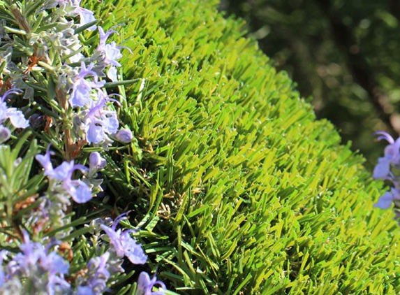 WaterSavers Turf - San Rafael, CA