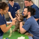 VCA Little Animal Hospital - Veterinary Clinics & Hospitals