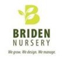 Briden Nursey