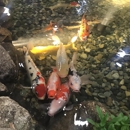 Garden State Koi Pond & Waterfall Design Center - Ponds, Lakes & Water Gardens Construction