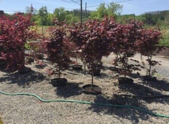 Dave's Landscaping LLC - Amsterdam, NY