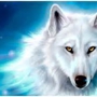 white wolf remodeling