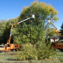 Randalls Tree Service - Arborists