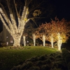 Light DMV gallery