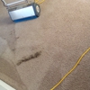 Placer Carpet Cleaning gallery