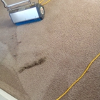 Placer Carpet Cleaning