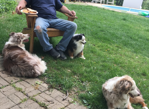 Stock Boarding Kennels - Canton, OH. Stock kennel customers!