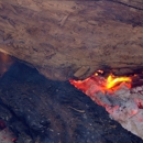 Big LL's BBQ - Barbecue Restaurants
