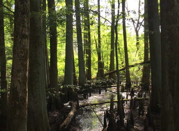 Wheeler National Wildlife - Decatur, AL